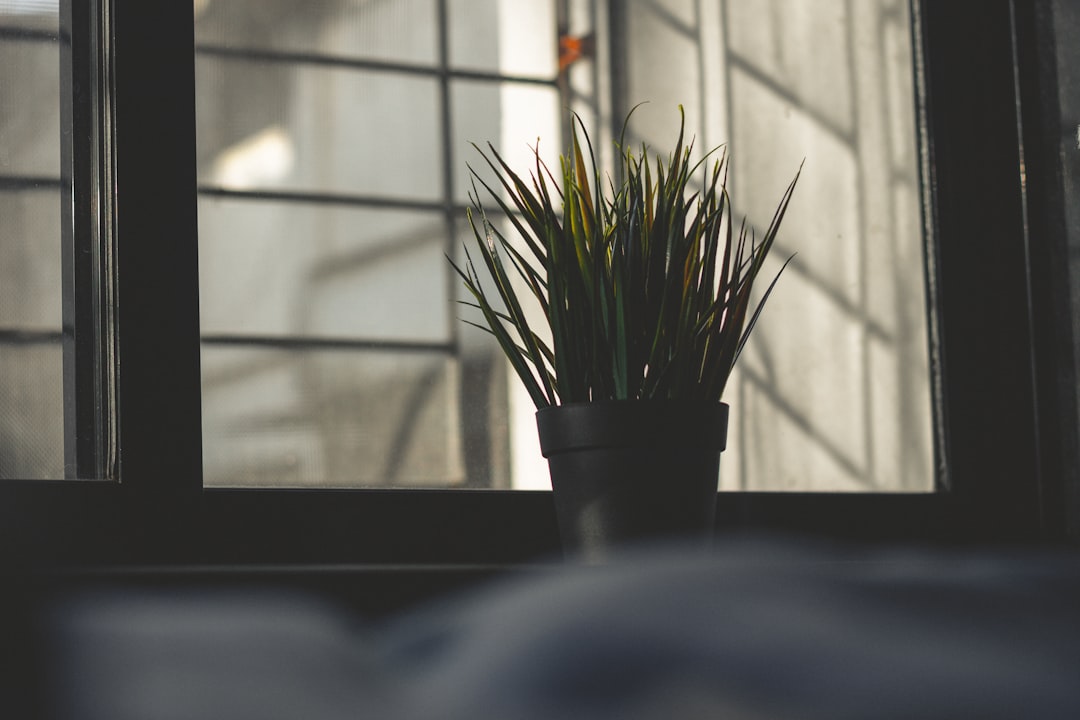 découvrez l'importance d'un horaire de réveil régulier pour améliorer votre qualité de sommeil et votre bien-être quotidien.
