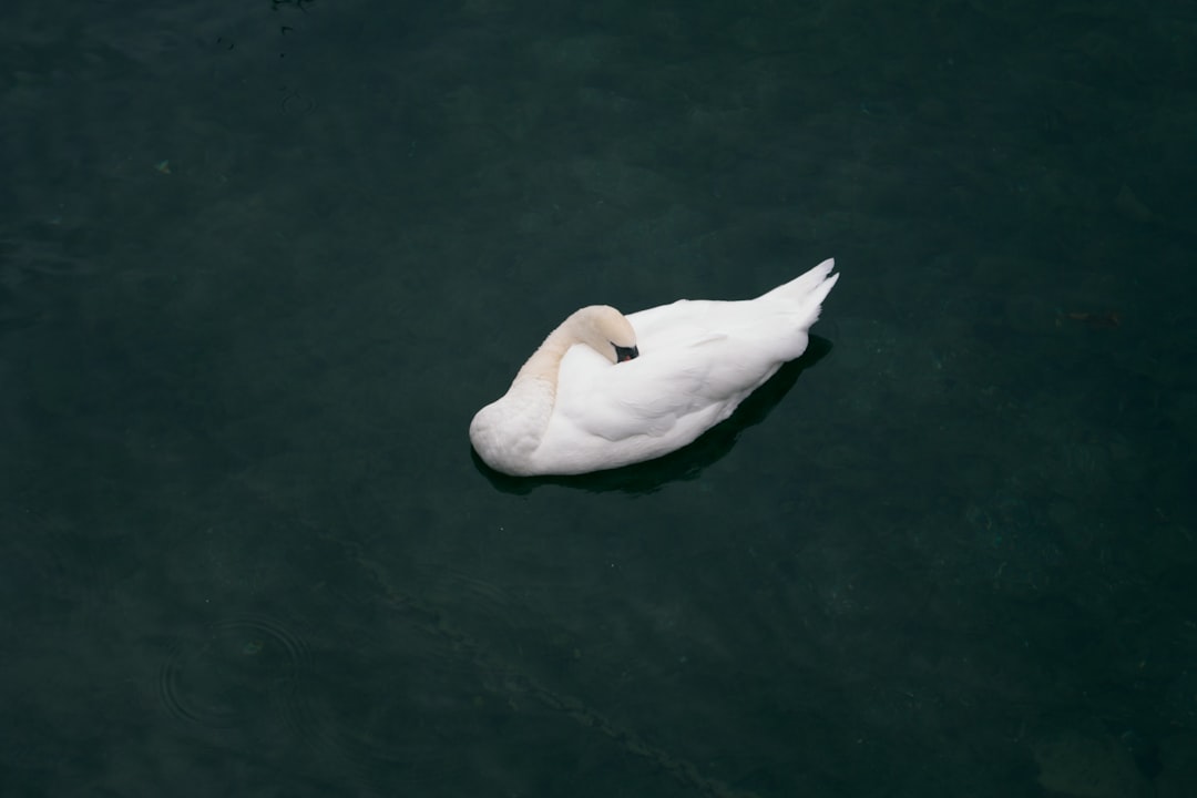 découvrez les bienfaits du deep sleep : conseils et astuces pour améliorer la qualité de votre sommeil profond et retrouver énergie et bien-être au quotidien.