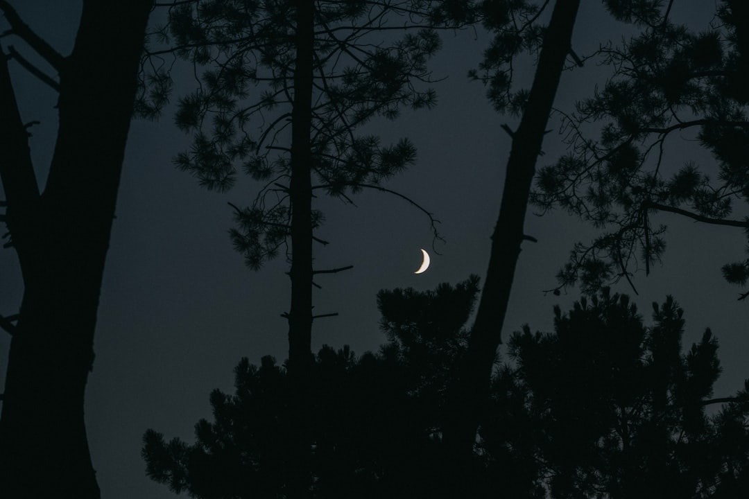 découvrez comment la pleine lune peut influencer votre sommeil et provoquer de l'insomnie. conseils et astuces pour mieux dormir pendant cette période.