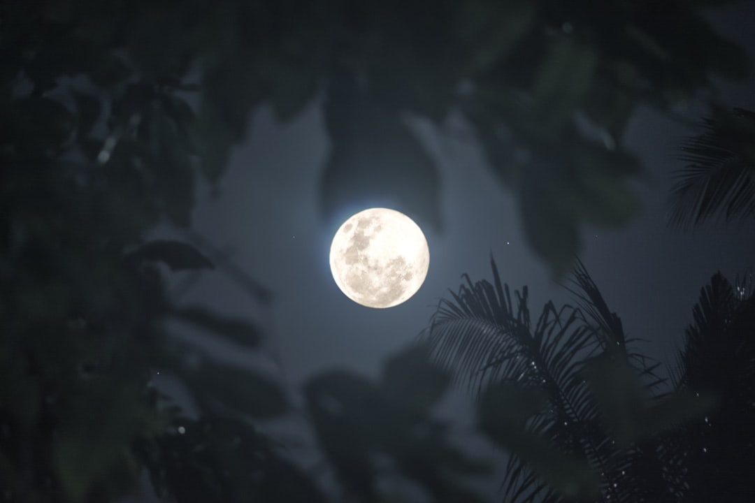 découvrez comment la pleine lune peut affecter votre sommeil et obtenir des conseils pour mieux gérer l'insomnie pendant cette période.