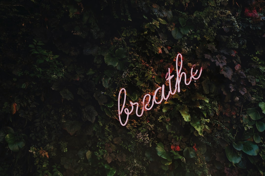 découvrez la mindfulness, une pratique de pleine conscience pour réduire le stress, améliorer votre bien-être mental et vivre l’instant présent au quotidien.