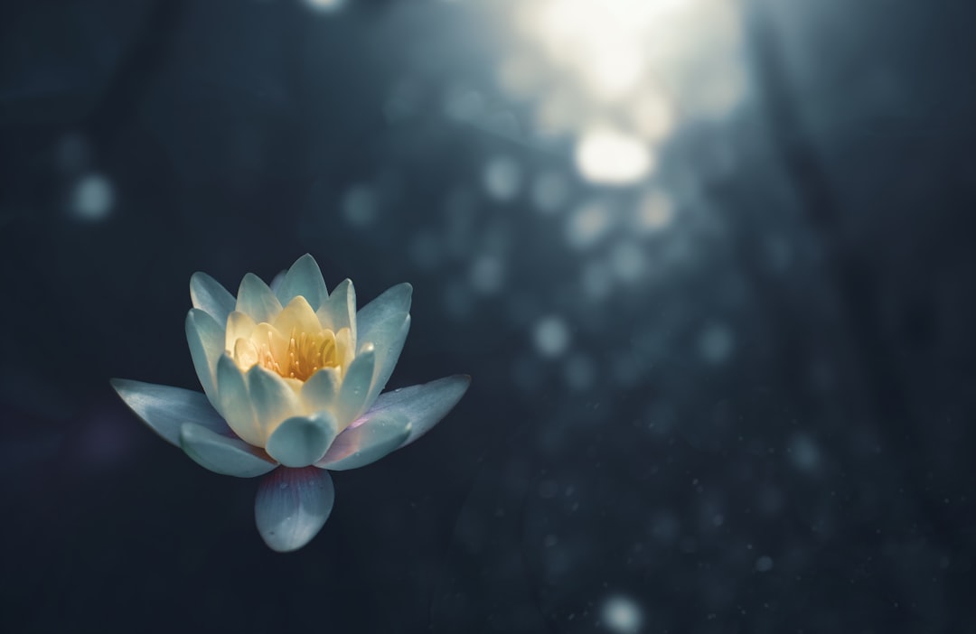 découvrez la mindfulness : ses bienfaits pour réduire le stress, améliorer la concentration et vivre pleinement le moment présent grâce à des exercices simples de méditation et pleine conscience.