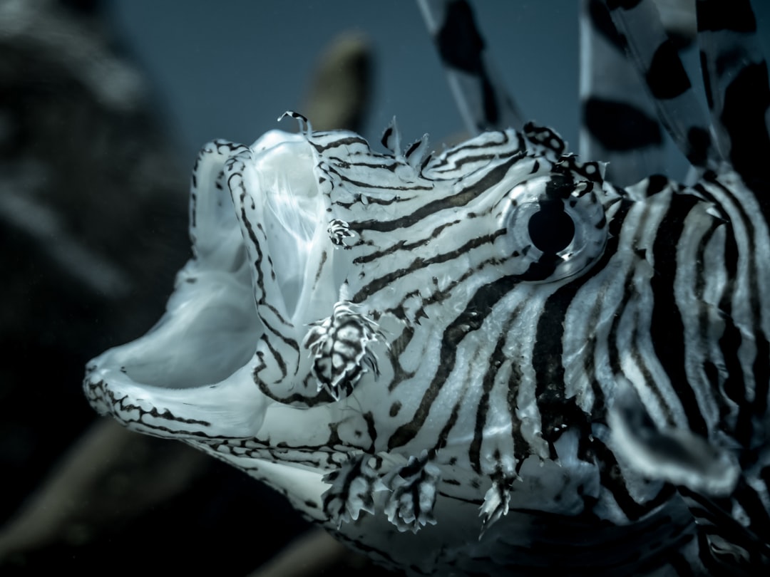 découvrez les causes, les effets et les solutions pour la respiration buccale afin d'améliorer votre santé respiratoire et votre bien-être.