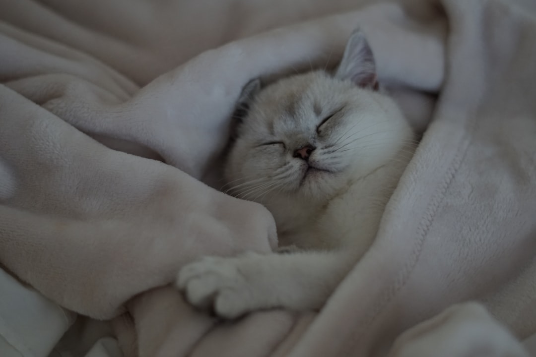 découvrez les causes courantes d'un mauvais sommeil et des conseils efficaces pour améliorer la qualité de vos nuits et retrouver un repos réparateur.