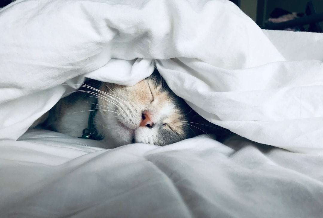 découvrez l'importance du sommeil pour votre santé, des astuces pour mieux dormir et des conseils pour améliorer votre qualité de vie grâce à un repos réparateur.