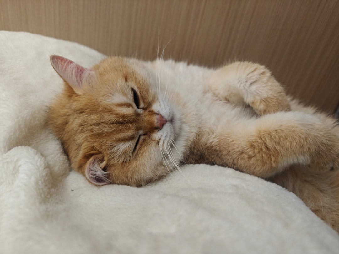 découvrez les différentes positions de sommeil et leurs bienfaits pour améliorer la qualité de votre repos et votre santé.