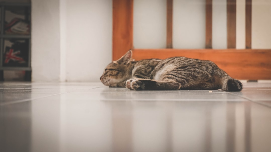 découvrez comment votre position de sommeil influence la santé de votre cœur et adoptez les meilleures postures pour un bien-être optimal.
